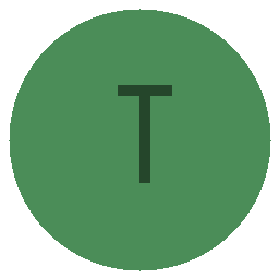Player Team Team Stels Logo